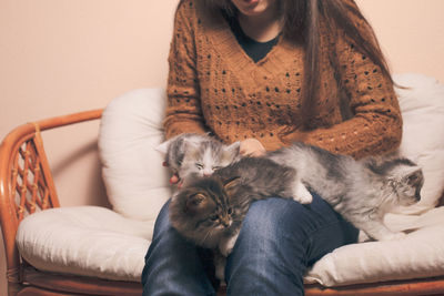 Full length of cat lying on sofa