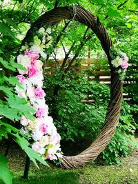 Close-up of pink flowering plants in basket