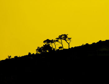 Silhouette trees at sunset