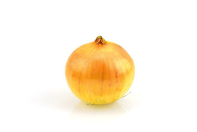 Close-up of pumpkin against white background