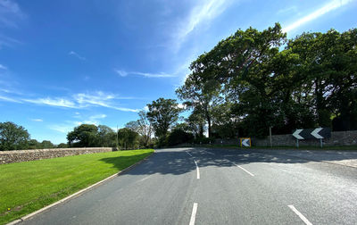 Looking along, bracewell lane, with grass verges, trees, and a blue sky in, bracewell, skipton, uk