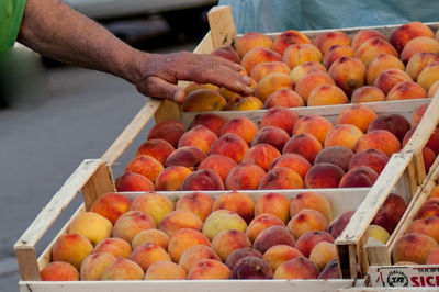 Food for sale at market stall