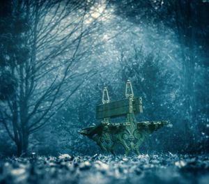 Snow covered trees in winter