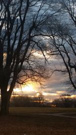 Silhouette trees against sky during sunset