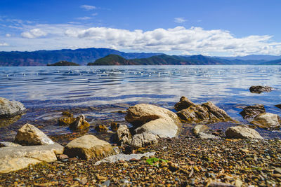 Scenic view of sea against sky