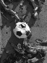 High angle view of soccer ball on field