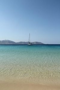 Sailboat sailing in sea against clear sky