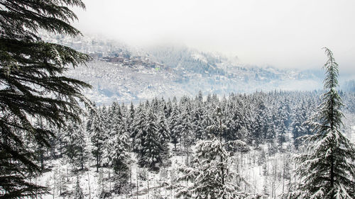 Scenic view of snow covered land against sky