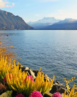 Scenic view of lake by mountains against sky