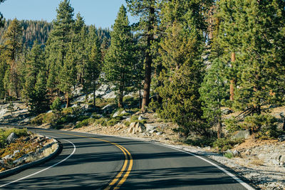 Empty road amidst trees against sky