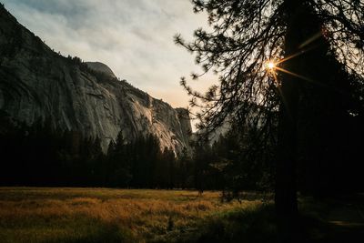 Scenic view of forest against sky at sunset