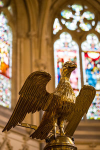 Close-up of bird perching at statue