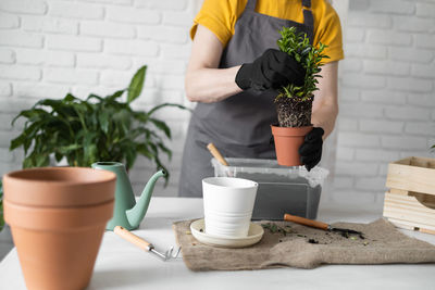 Midsection of woman holding potted plant on table