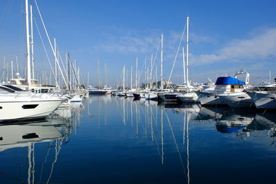 Sailboats moored in harbor