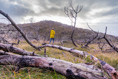 Rear view of bare tree against sky