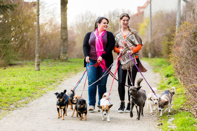 Woman and dog with dogs in park