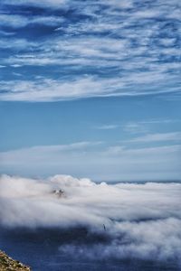 View of bird flying in sky