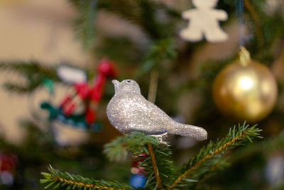 Close-up of christmas decoration hanging on tree