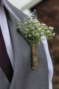 Close-up of potted plant