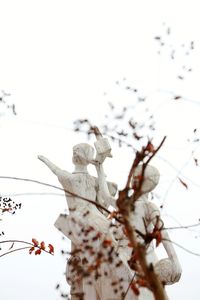 Close-up of flower against clear sky