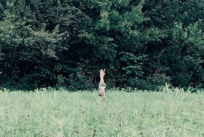 Person lying with raised hand in grassy field