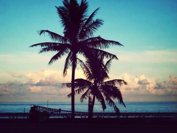 Palm trees on beach