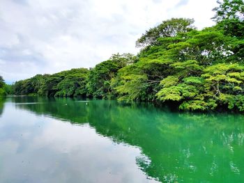 Scenic view of lake by trees against sky