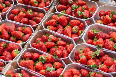 Full frame shot of strawberries in containers for sale at market stall