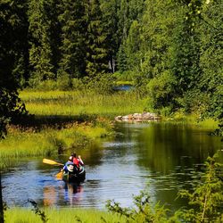 People sitting on boat in river by trees in forest