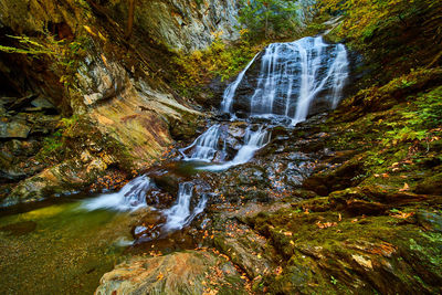 Scenic view of waterfall in forest