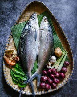 High angle view of fish in container