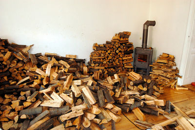 Stack of logs against wall in forest