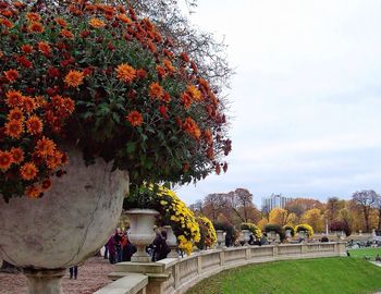 Plants growing in park