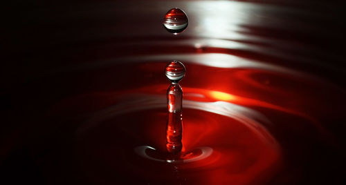 Close-up of water drop