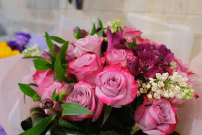 Close-up of pink roses