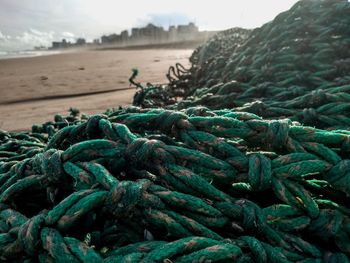 Close-up of rope on beach