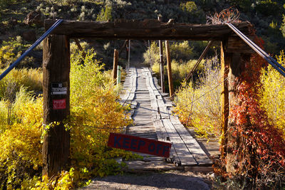 Abandoned bridge amidst trees in forest