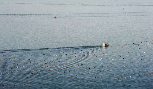 High angle view of man fishing in sea