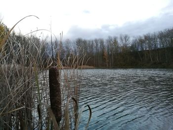 Scenic view of lake against sky