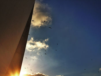 Low angle view of birds flying in sky