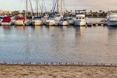 View of sailboats moored on shore against sky