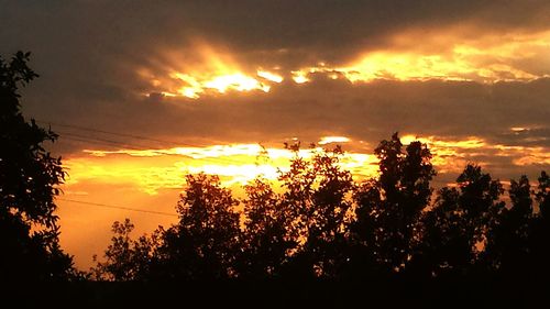Low angle view of silhouette trees against sky during sunset