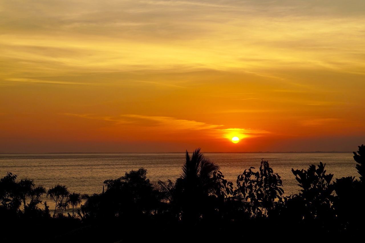 sunset, sea, silhouette, scenics, nature, beauty in nature, horizon over water, tranquil scene, beach, tranquility, water, sky, sun, orange color, tree, idyllic, no people, outdoors, cloud - sky