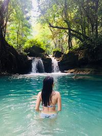 Rear view of woman in water at forest