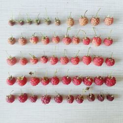 High angle view of fruits against white background
