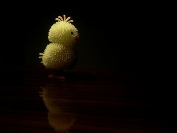 Close-up of lamp over black background