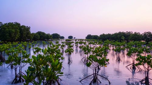 Scenic view of lake against sky at sunset