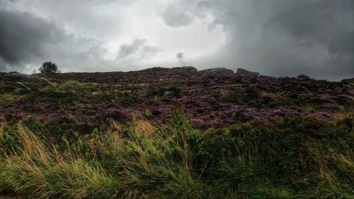 Scenic view of field against cloudy sky