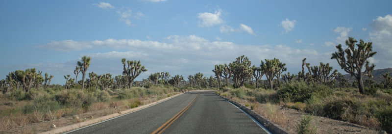 Road amidst trees against sky