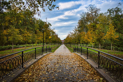 Walkway amidst trees against sky during autumn